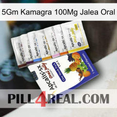 5Gm Kamagra 100Mg Oral Jelly 11